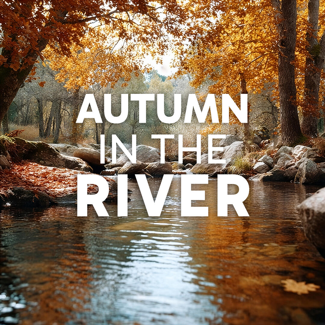 Rainfall Sonata Album